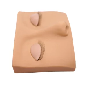 Mannequin Head Eyelash Extension Practice Makeup Accessories with Removable Eyes False Eyelashes Grafting Training Model Head - Image 5