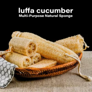 Natural Loofah Sponge Set for Dish Washing Pot Cleaning Vegetable Scrubber Eco Friendly Exfoliating Bath Shower Sponge - Image 2